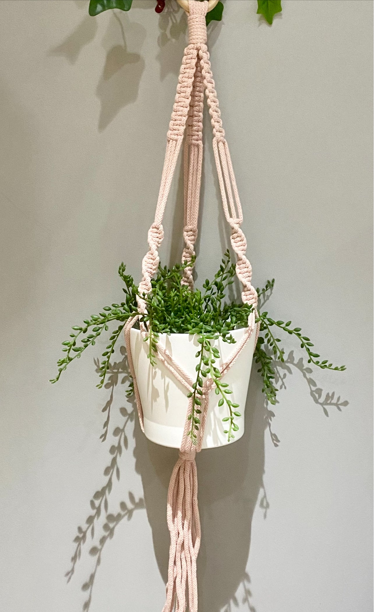 Macrame Twist Plant Hanger