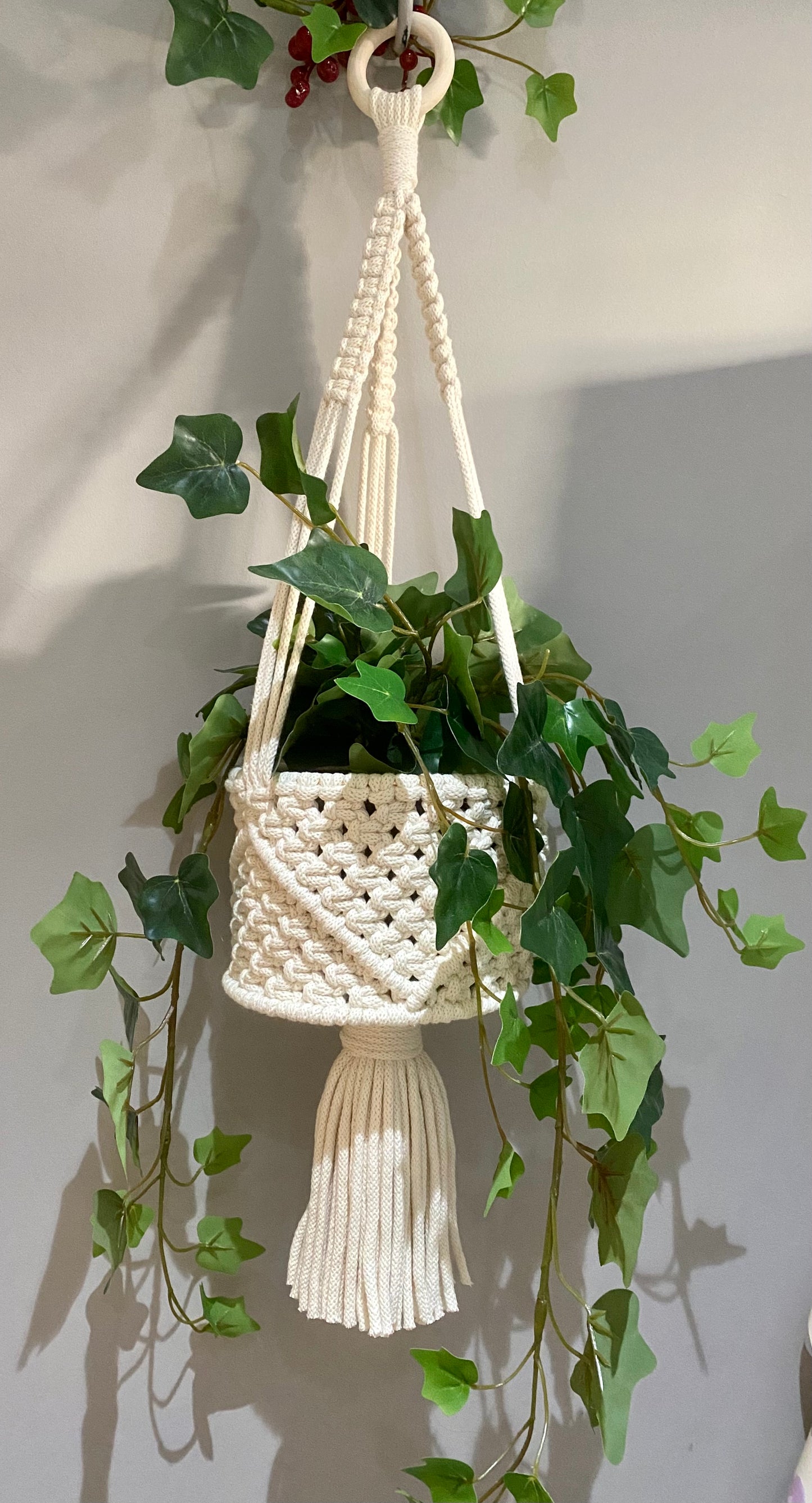 Macrame Hanging Basket