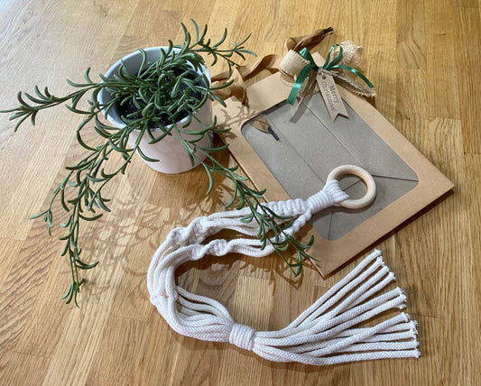 Macrame Mini Plant Hanger Set